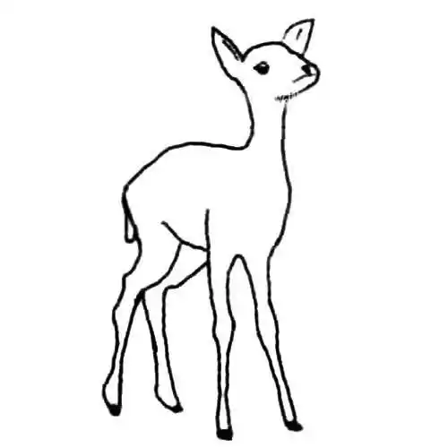 麋鹿简笔画 麋鹿简笔画黑白