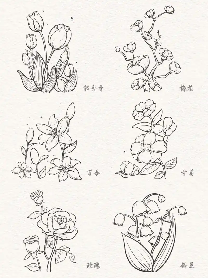 速写打卡|植物花卉六宫格(更多线稿999拿)#国风古韵