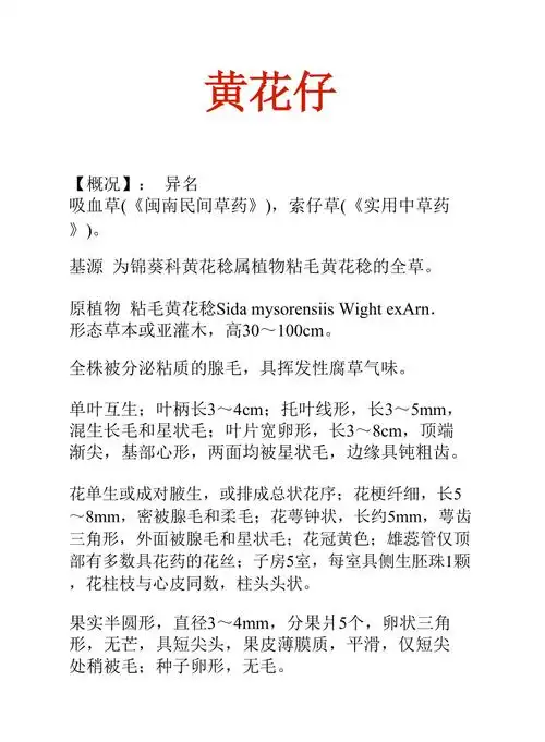 中药知识文库:黄花仔_第2页