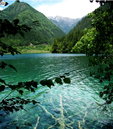 这是什么地方的风景_百度知道