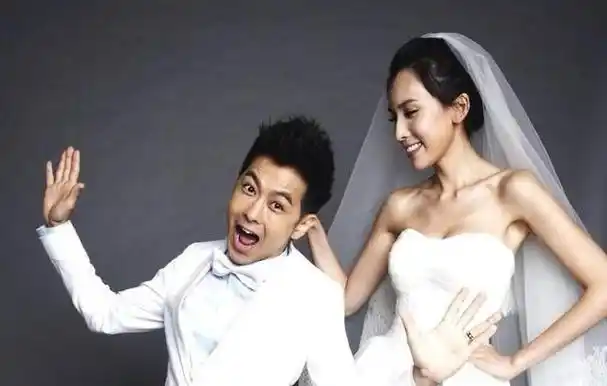 林心如和林志颖为啥没在一起(和林心如恋爱三年)(1)