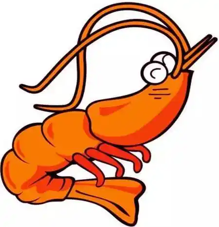 虾说除了小龙虾广州饭桌上还有这批虾美食人均低至15元啖啖肉超过瘾