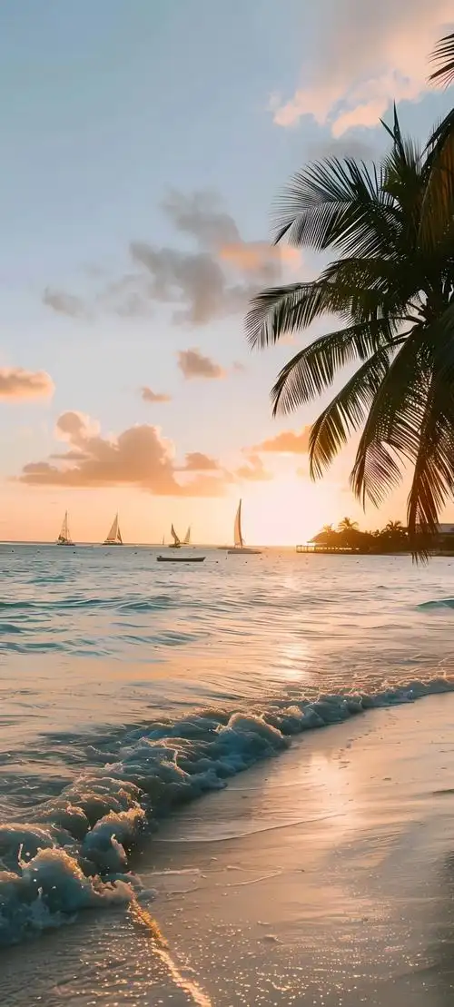 1080_2395竖版 竖屏