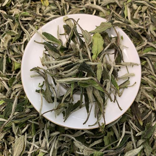 2022年磻溪大洋山白牡丹散茶福鼎白茶白牡丹