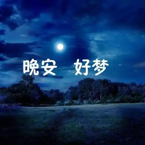 晚安心语优美句子大全_晚安心语伤感句子大全_伤感晚安心语