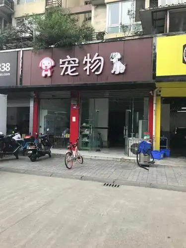 网友爆料妹子在成都九里堤地铁口旁边宠物店买到病狗前天买的