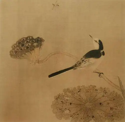 宋画小品(花鸟篇)