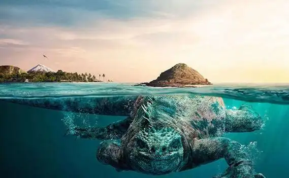 大气生物真的存在吗?大气中是否生活着神秘生物