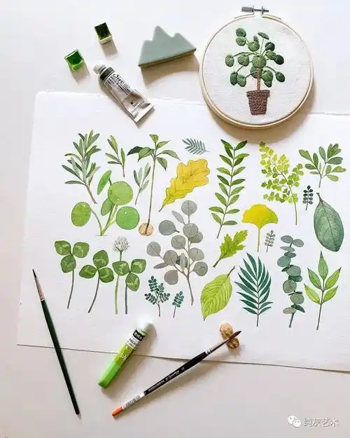 小清新治愈系水彩植物