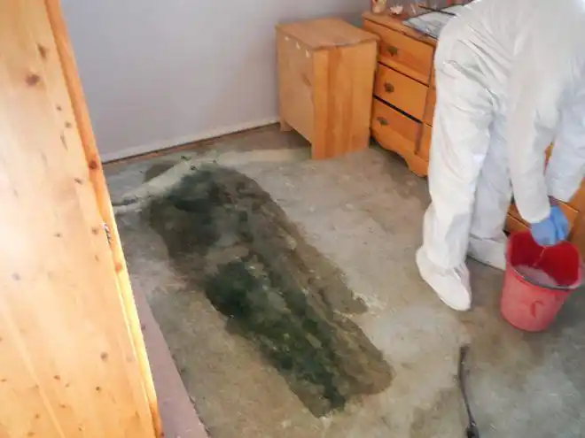 揭秘高薪收入的特殊清洁行业专门犯罪现场的清洁工