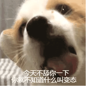 299_299gif 动态图 动图