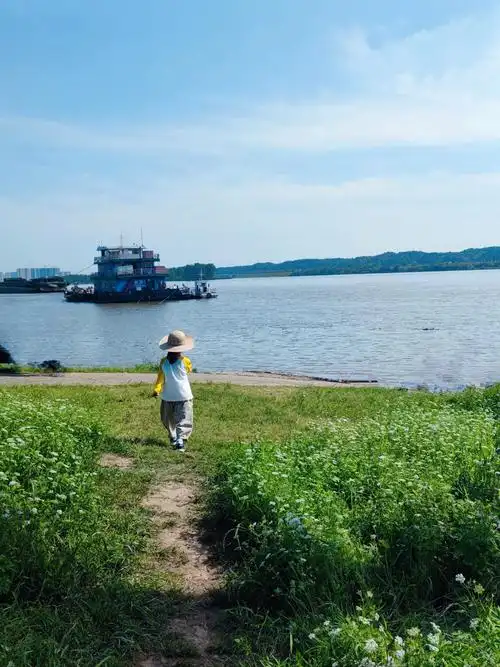 日落好美,特别是春天,美得像油画,人少原生态,适合带孩子周末户外撒野