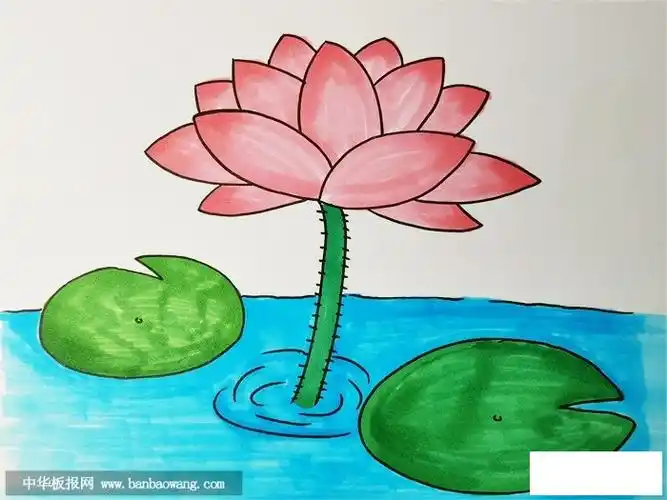 荷花怎么画简单又漂亮