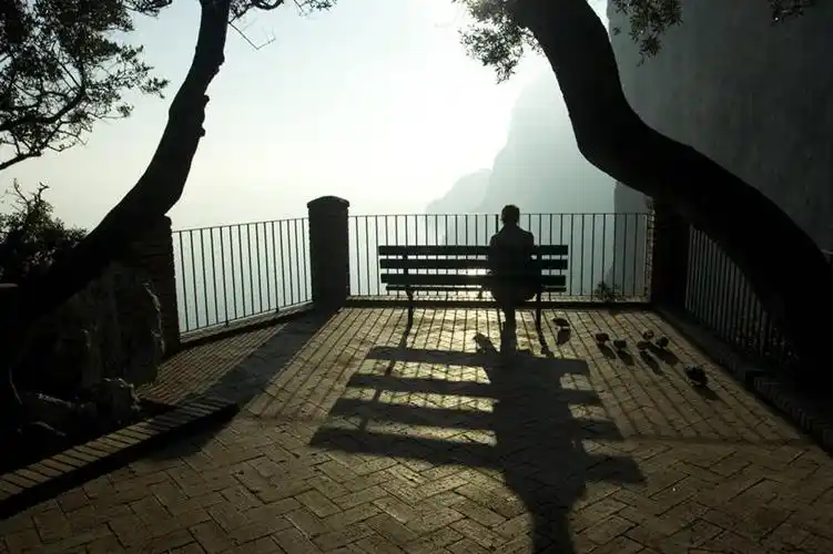 成年人,一个人,公园,栏杆,坐,横图,室外,白天,椅子,日光,意大利,仅一