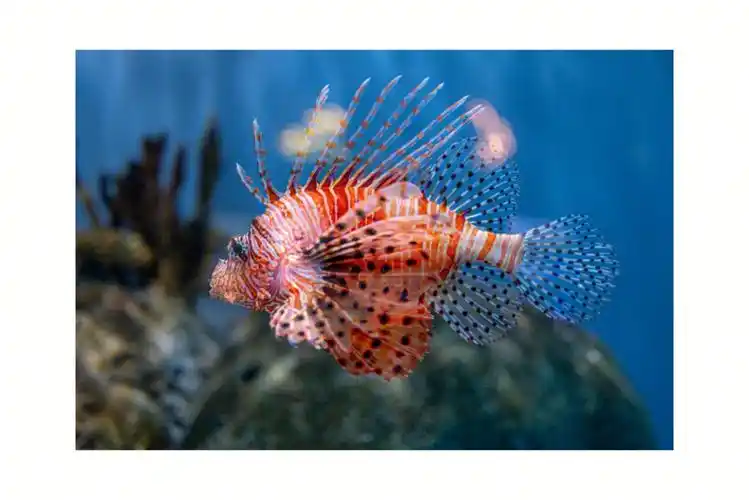 北京海洋馆动物园