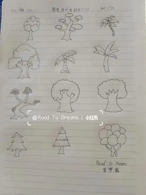 这树的简笔画属实让我没想到,我花了两个小时半的时间才完成铅笔画,用