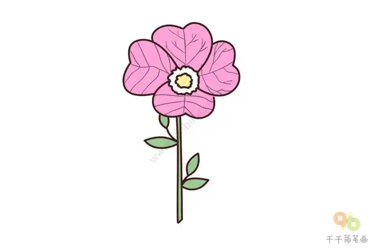 月光花简笔画图片