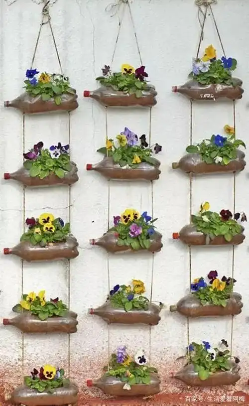 可乐瓶剪一剪,竟然这么美,养花,种菜,装饰好实用,接地气!