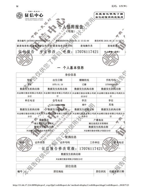 谁能发给我一个个人征信详版的模板