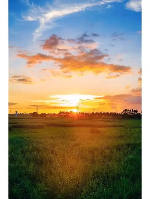 落日晚霞   #一起看落日  #夕阳