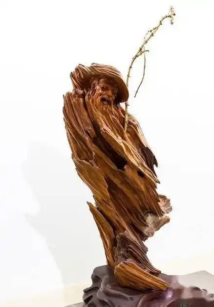 树根除了实用,原来也能成为艺术品~有艺术修为的匠人会说:它是全天下