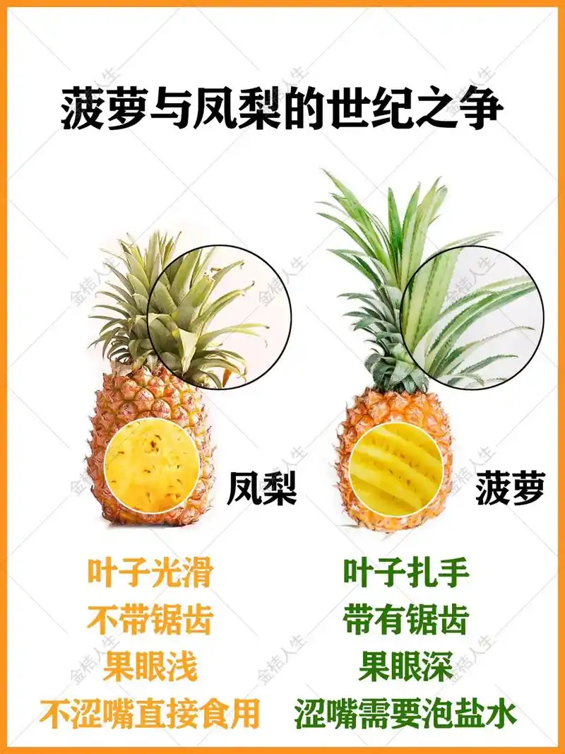一直在犹豫要不要写凤梨菠萝,争议 - 抖音