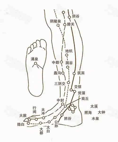 腿寒不止诱发老寒腿冬天灸除腿寒要及时