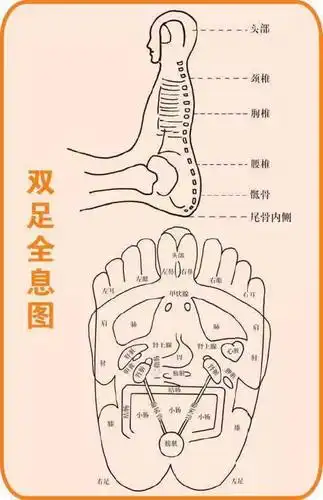 神奇丨"针尖上的智慧" 带你认识全息的奥秘