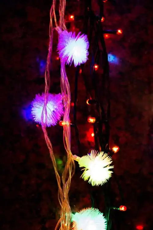 自然界中的发光奇观:会发光的植物