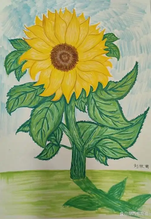紫藤美育|作品展-学生眼中的色彩——向日葵