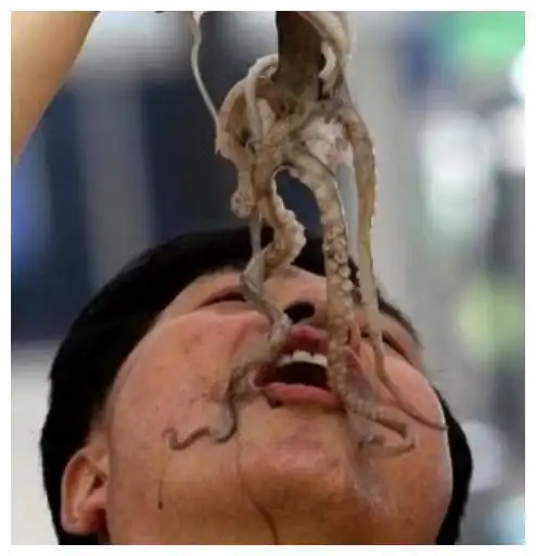 韩国人吃活章鱼,日本人吃生鸡蛋,看到中国人吃的,老外:服了