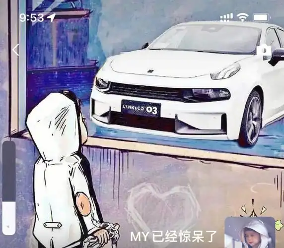 #领克03