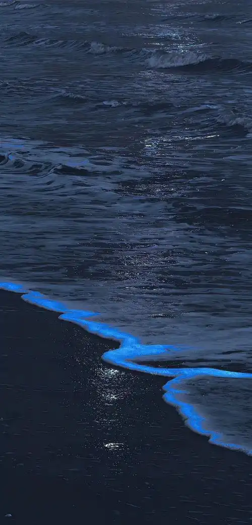 背景图简约ins高级小众浪漫