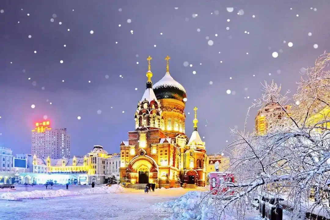 雪景图鉴阳光下钻石般闪耀冰城的美藏不住了