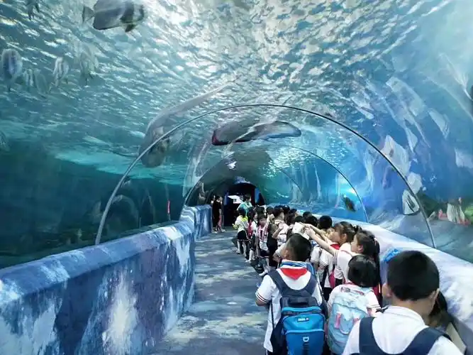 长沙县湘龙街道金麦穗梯田幼儿园长沙海底世界研学游 - 美篇