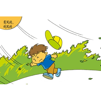 被风吹跑的帽子