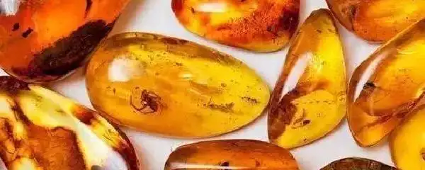 松脂球是怎样形成的