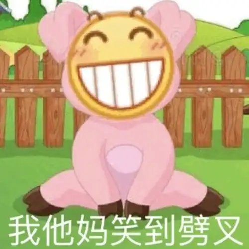 我他妈笑到劈叉-表情图片-搞笑图片表情包-表情包网站