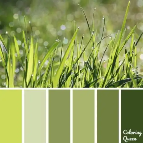 色卡#高级感配色   #配色灵感   #配色分享   #绿色系  绿色代表