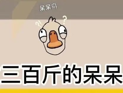 呆呆鸟发言搞笑_呆呆的笑声_呆呆的什么笑 - 抖音