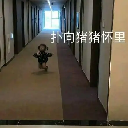 扑向猪猪怀里_怀里_猪猪表情