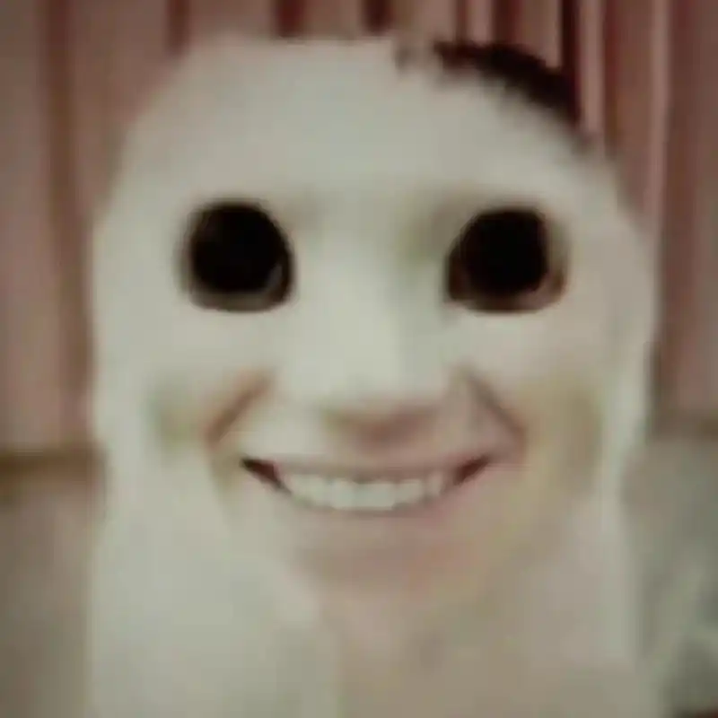 猫咪惊魂表情包 猫咪惊魂表情包,拿走吱一声~9494