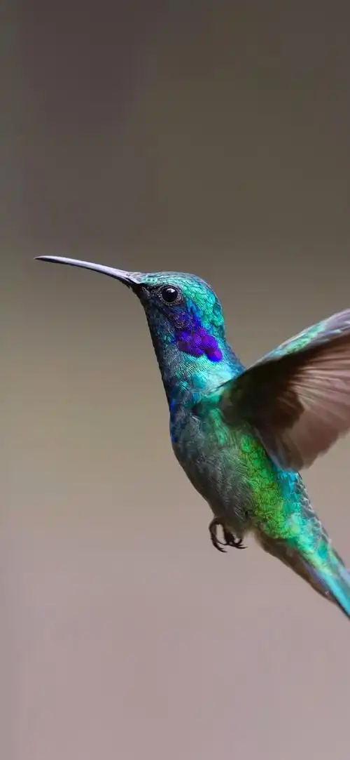 不定期更新自己喜欢的壁纸