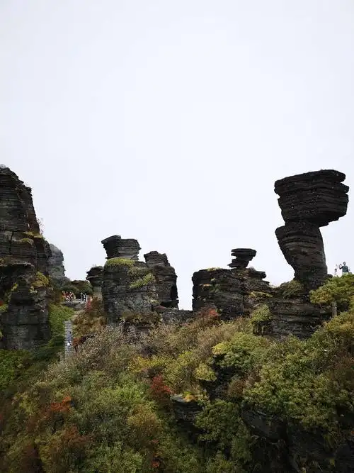 贵州梵净山风景照片