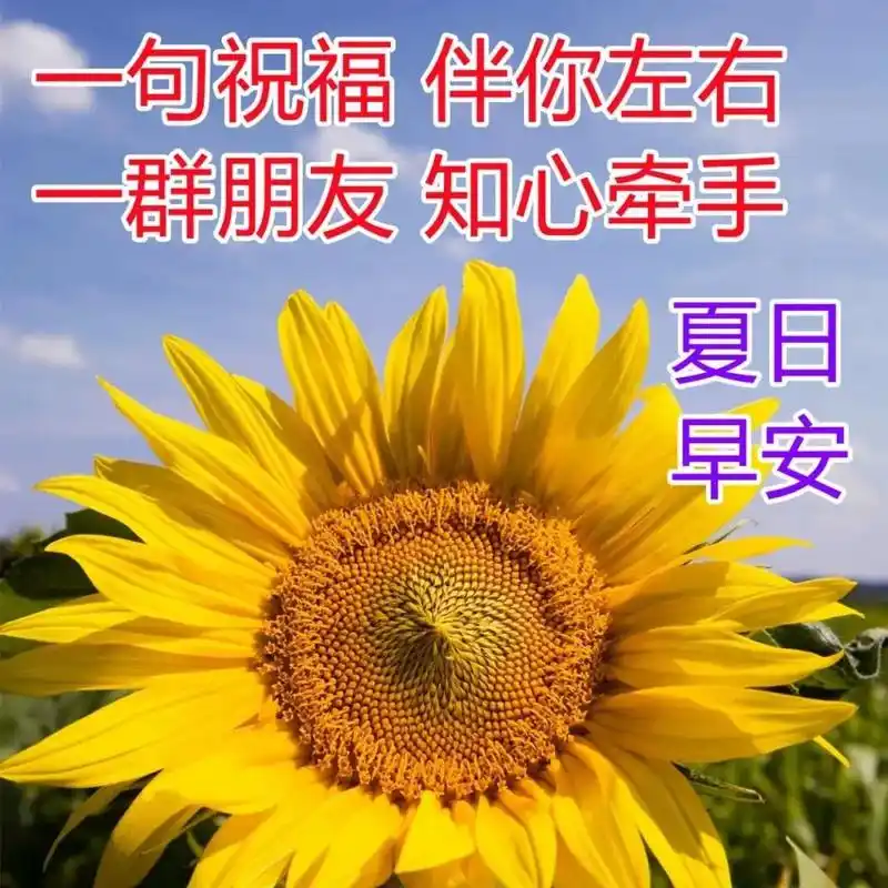 最美早安问候祝福图片 最新漂亮早上好图片