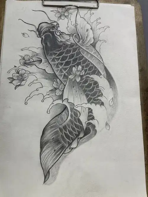 素描大鲤鱼