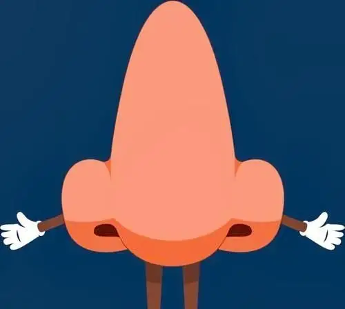 鼻子(人生辞典)