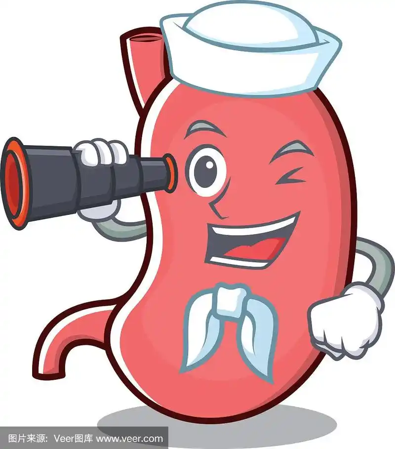 水手胃卡通人物吉祥物