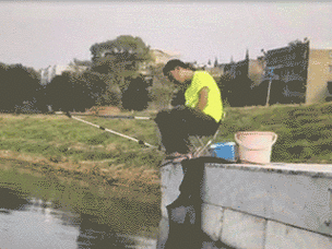 320_240gif 动态图 动图