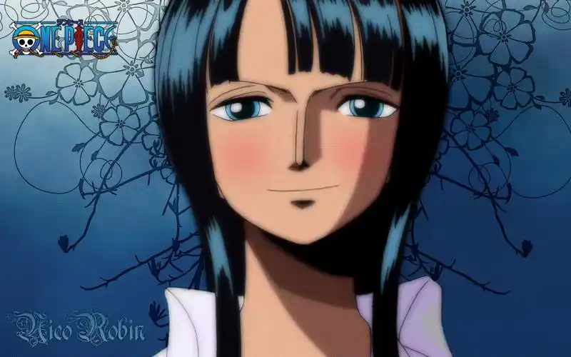 妮可罗宾(海贼王)